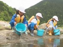 小学生が矢作川に稚アユ約4000匹を放流 体長12cm程で本格的な友釣りシーズンには20cm程に 愛知