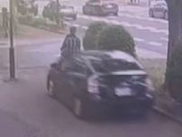 “黒のプリウス”が逃走…男性が歩道に進入してきた車にはねられた殺人未遂事件 直前にコンビニでトラブル