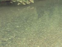 透明度高い川には「見えない危険」も…岐阜で川遊び中の死亡事故等が続発 ガイドが指摘する“勘違い”とは