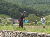 過疎化進み環境保全のため企画…岐阜県飛騨市の棚田でそばを作るオーナーたちが種まき 10月に収穫予定