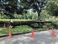街路樹もカーブミラーも根元から折れた…24日、東京・多摩地域に吹き荒れた猛烈な風の正体は