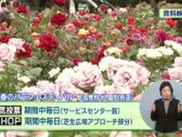  ｢クラフト餃子フェス｣を初開催 福岡市・舞鶴公園に28種が集結！