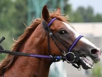 【スプリンターズＳ】２２年京阪杯勝ち馬トウシンマカオが熱発のため出走を回避