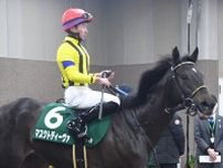 東京新聞杯６着のマスクトディーヴァは阪神牝馬Ｓを視野に【次走報】