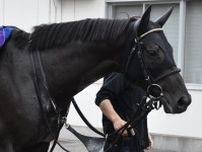 ２１年のダービー馬シャフリヤールは札幌記念を目指して調整【次走報】
