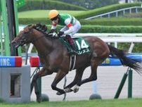 ２２年の中京記念勝ち馬ベレヌスが引退　タートルボウル産駒　石川県珠洲市の珠洲ホースパークで乗馬に転身