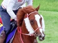 【日本ダービー・厩舎直送】シンエンペラーが史上初の外国産馬Ｖへ　「近走のなかでは一番いい状態」