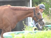 【日本ダービー】横山武「今一番勝ちたいレースです」　〝とんでもない馬だった〟大胆不敵のアーバンシックと頂点へ