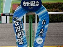 【安田記念】武豊ナミュール猛追もわずかに届かず２着　牝馬の「連続連対記録」は継続