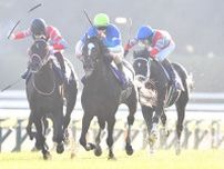 ３冠馬コントレイルをクビ差追い詰めたアリストテレスが引退　阪神競馬場で乗馬に転身