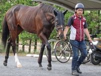 【今週の注目新馬】キズナ産駒の〝大物候補〟エリキングが素質馬揃いの宝塚記念当日にデビュー