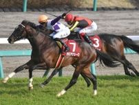２０２０年のスプリングＳ勝ち馬ガロアクリークが引退　北海道・浦河郡浦河町の笠松牧場で乗馬に転身