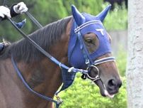 ２０２１年のセントライト記念勝ち馬アサマノイタズラが左前浅屈腱炎を発症