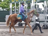 【先出し！注目新馬】ブラストワンピースの半妹ロパシックは函館で調整中　７・２８の芝千八でデビュー