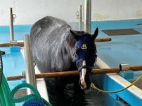 過去にはトウカイテイオーの姿も　競走馬リハビリテーションセンターを突撃取材！〝湯治〟の秘密に迫る