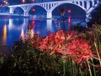 小倉橋フォトコン 秋の小倉橋を撮ろう 締め切りは10月４日〈相模原市緑区〉