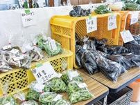 ウラガdeマルシェ 地域の食材ずらり 食料寄付でロス減へ〈横須賀市〉