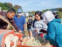 いずみ野小 阿久和小と脱穀作業 米作り通じて児童が交流〈横浜市泉区〉