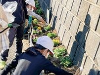 仲町台 児童が公園の沿道彩る 花壇に花植え〈横浜市都筑区〉
