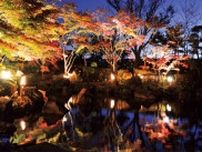 秋のもみじが彩る幻想 大磯城山公園で点灯〈大磯町・二宮町・中井町〉