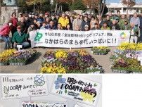 区の花パンジーで彩りを 33団体に５千株配布〈川崎市中原区〉