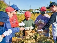 岡上小３年生 手作業で大豆を収穫 地元企業の協力で〈川崎市麻生区〉