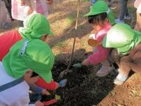 大倉山公園 園児の手で梅の植樹 ふるさとに愛着もって〈横浜市港北区〉