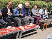 瀬谷区きさらぎクラブ 野点会で文化に触れ 30人がお茶を堪能〈横浜市旭区〉