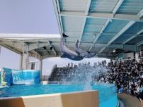 ４か月ぶり待望の再開 新江ノ島水族館でイルカショー 20周年特別展も〈藤沢市〉