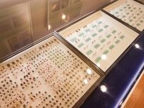 自然・人文博物館 ６００匹のカメムシ標本〈横須賀市〉