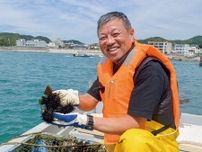 駆除対象のウニを美味しく商品化 地場海藻のみで育てた「葉山ウニ」〈横須賀市〉