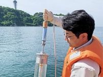 水質速報で「異常なし」 海水浴期間控え市が調査〈藤沢市〉