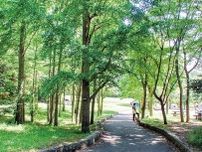 久良岐公園など 自然に囲まれ森林浴〈横浜市港南区・横浜市栄区〉