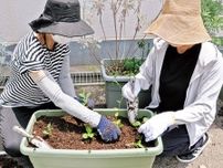 アワーズ 植物通じて住民交流 緑のカーテン作り始動〈横浜市保土ケ谷区〉