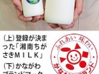 湘南ちがさきＭＩＬＫ 神奈川県のブランド品に登録 牛乳で初　搾りたての風味〈茅ヶ崎市〉