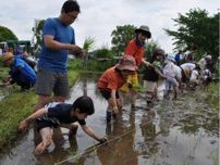 泥んこになって食育学ぶ 新横浜公園　水田に子どもたち〈横浜市港北区〉