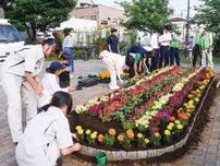 農商生が花壇再生 桜ヶ丘公園愛護会と協力〈平塚市〉