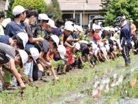 地域で食農を学ぶ 依知南小学校が農業体験〈厚木市・愛川町・清川村〉