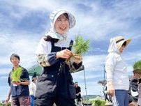 織り姫 田植えを体験 農業者、参加者らと交流〈平塚市〉