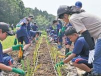 公園の彩り生徒の手でハナショウブを植え付け〈藤沢市〉