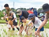 田んぼは生き物の宝庫 JAあつぎが生き物調査〈厚木市・愛川町・清川村〉