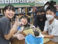 峯小学校 植物で交流育む ６年生 種入り泥団子作る〈横浜市保土ケ谷区〉
