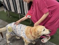 人と犬 健康育む ｅｃｏベースでイベント盛況〈藤沢市〉