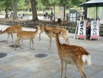 100億の貢献？糞虫の聖地｢奈良公園｣の奥深き裏側 驚異の自然サイクル！莫大な経済効果生む陰の掃除屋