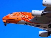 ANA超巨大機A380「最後の1機」が10月就航へ！ 受領から2年、眠ったままだった”オレンジのウミガメ”機