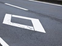 半数以上が「知らない」道路に描かれた“ひし形”の意味とは？ 無視すれば違反も