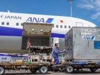 えっ！？ これ人乗ってないじゃん！ 羽田空港で”無人トラクター”走らせてます じつは空港の将来の姿かも