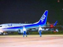 ANAから退役した「ずんぐりむっくりボディな737」が”転生” 「このバッグの柄、どこかで…」→そりゃそうだ！