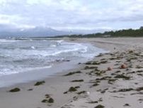 一部白骨化した遺体の身元判明　２月下旬に米子市の海岸で発見 １月末に行方不明者の届け出（鳥取）