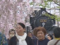 約1000本、3キロ続く桜のトンネル「日中線のしだれ桜並木」見頃　福島・喜多方市